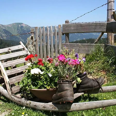 Landhaus Bechter Appartement Hittisau